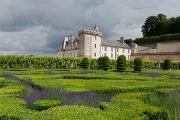 Fototapeta na wymiar Ogrody i Chateau de Villandry w dolinie Loary we Francji