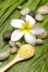 Obraz na płótnie Canvas Frangipanis flower and natural sea bath salt in wood bowl on palm leaf