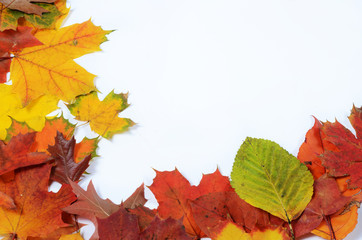 autumn leaves with space for your text