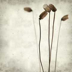 textured old paper background