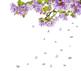 Wandcirkels aluminium lilac flower tree branches and falling petals © Alexander Potapov
