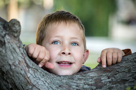 Portrait d'un petit garçon dans un arbre #2