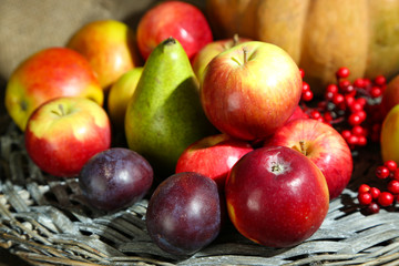 Naklejka na ściany i meble Autumn composition of fruits and pumpkins on table close-up