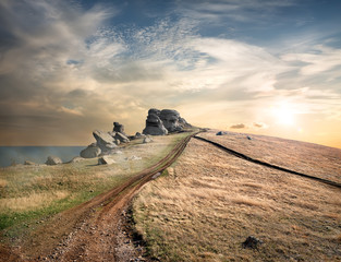Fototapety na wymiar - Fototapeta24.pl