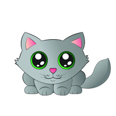 Cute kitty with big eyes ready to jump