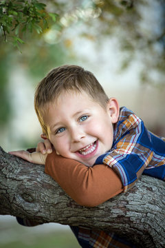 Portrait d'un jeune garçon dans un arbre #2