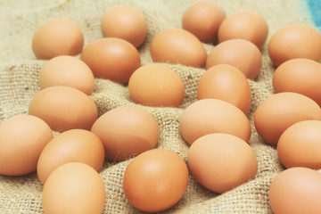 Fresh eggs from farm