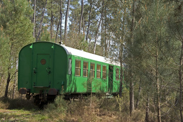 Fototapeta na wymiar Train touristique des Landes; Marquéze; Aquitaine; Sabres; 40