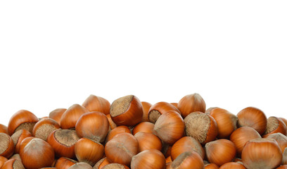 hazelnuts