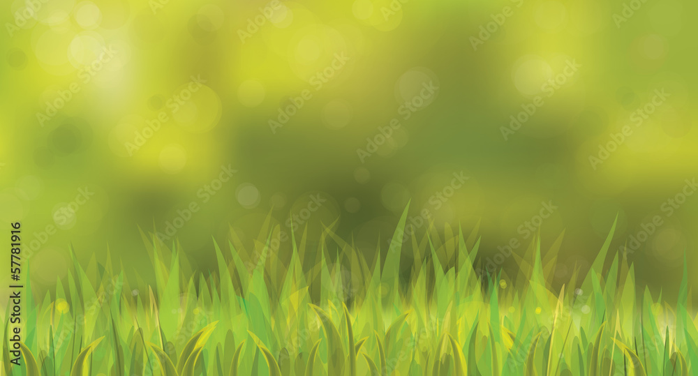 Wall mural vector sunny spring background with grass.