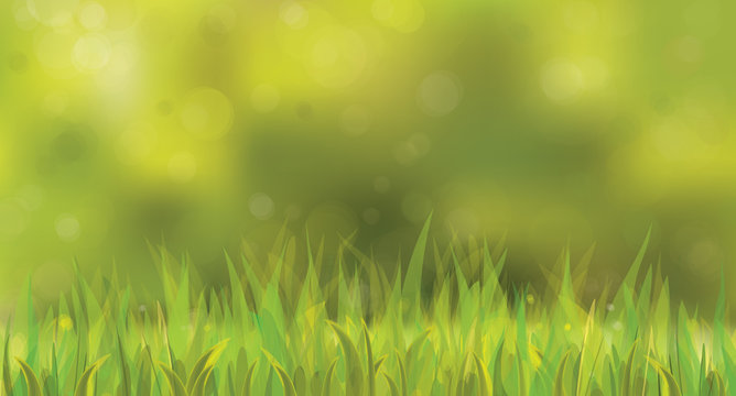 Vector sunny spring background with grass.