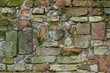 Muro con muschio