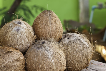 Dried coconut for coconut milk
