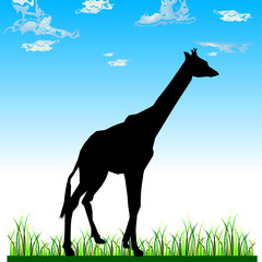 giraffe in the nature vector illustration