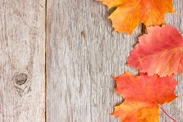 Naklejka na ściany i meble Autumnal leaves and old wooden planks