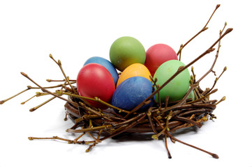 Colorful Easter eggs in a nest from branches on a white