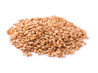 Wheat grain on white