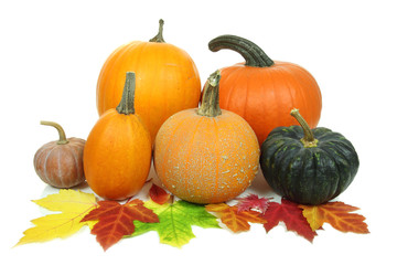Pumpkins isolated