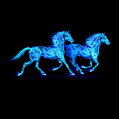 Obraz na płótnie Canvas Blue fire horses.