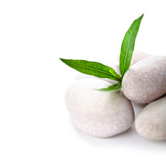 heap of stones and green leaves