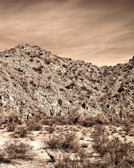 Central Arizona Desert