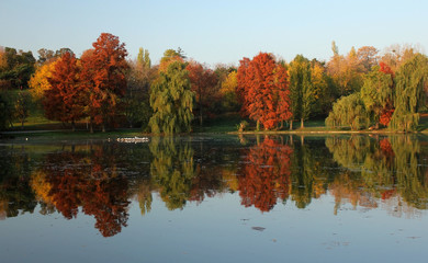 Autumn lake