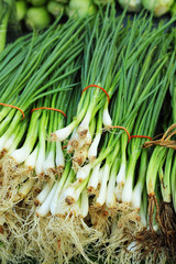 Fresh vegetables - green onions in the market.