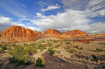 Red Rock Panorama