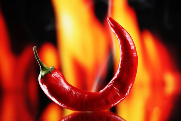 Red hot chili pepper on fire background