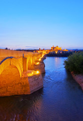 The Roman Bridge in Cordoba, Spain