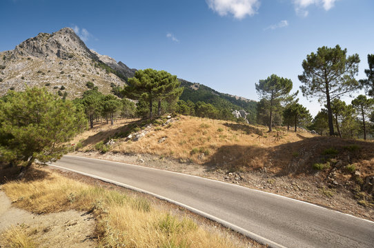 Grazalema Natural Park, Cadiz, Andalusia, Spain
