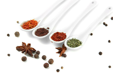 Assortment of spices in  white spoons, isolated on white