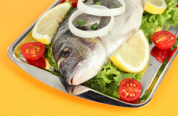 Dorado fish on table close-up
