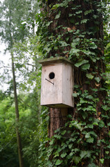 A wooden birdhouse hung on a tree