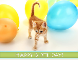 Fototapeta premium Cute little red kitten in colorful balloons
