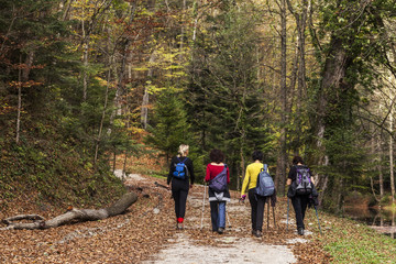 Fototapeta na wymiar Cztery kobiety na spacerze w lesie
