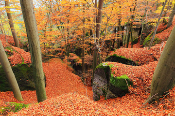 Colorful autumn Landscape in Bohemian Paradise, Czech Republic