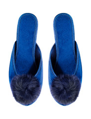 Lady's Slippers isolated on White Background