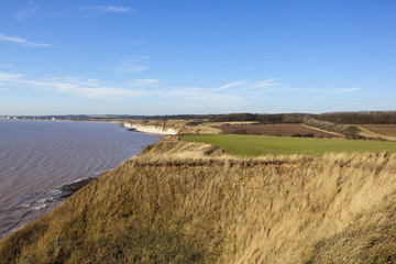 coastal farmland scenery