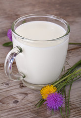 Obraz na płótnie Canvas organic fresh milk in the cup with flowers