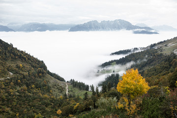 Berglandschaft mit Nebel