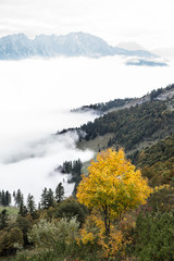 Berglandschaft mit Nebel