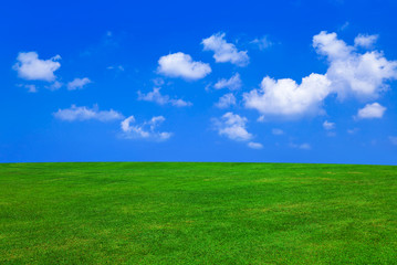 Grass and cloudy sky