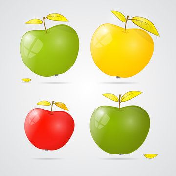 Vector apples - green, red and yellow