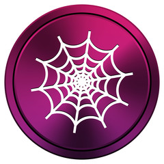 Spider web icon
