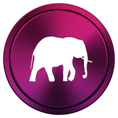 Elephant icon
