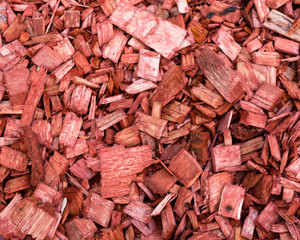 wood ecological urban background red