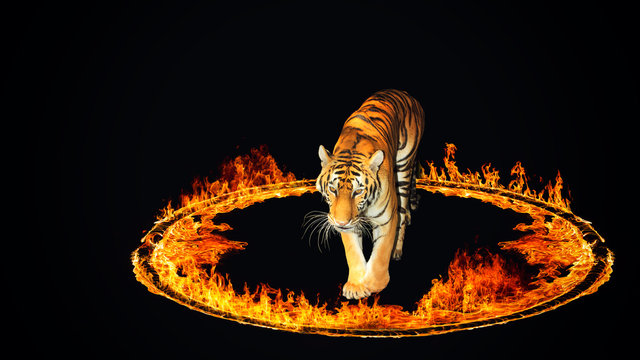 Blazing flames on black background