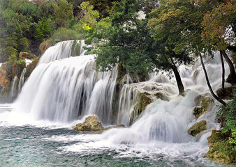 Fototapeta premium ungezähmte Natur - untamed wilderness
