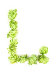 Hop flowers laid in form of letter L.